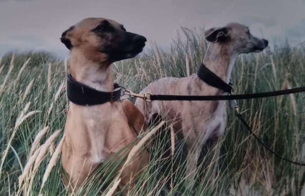 Lieblingsbild :D-Beitrag-Bild