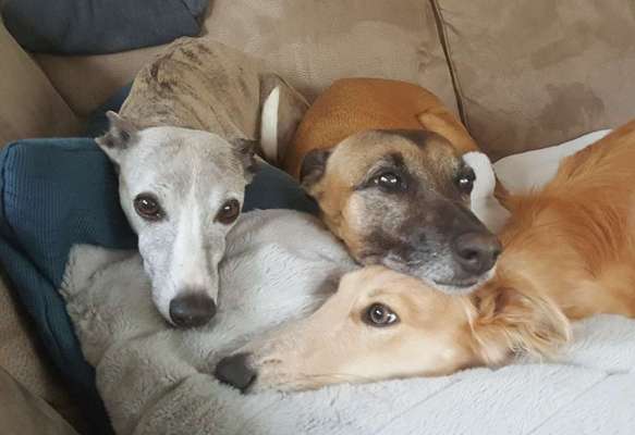 Lieblingsbild :D-Beitrag-Bild