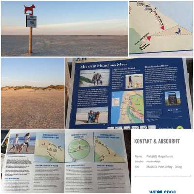 Hundeurlaub In Deutschland-Beitrag-Bild