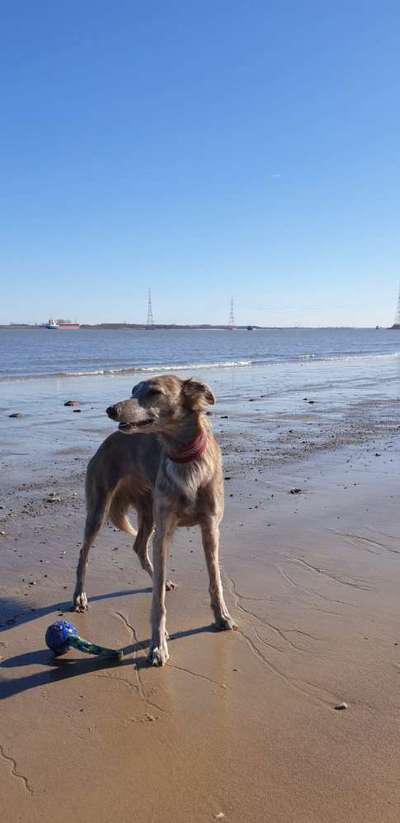 Lieblingsbild :D-Beitrag-Bild