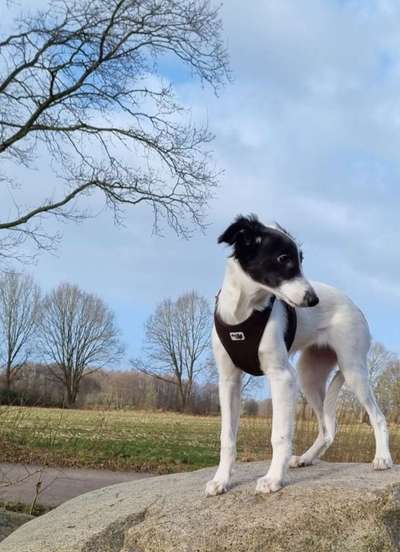 Fotochallenge Nr. 67: Euer Lieblingsbild-Beitrag-Bild