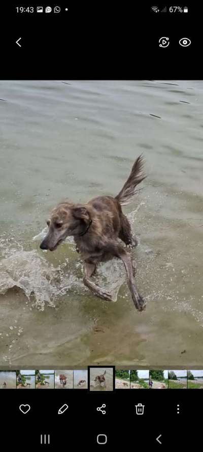 FOTOCHALLANGE NR.71 BADEFREUDE-Beitrag-Bild