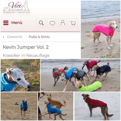 Windhunde - Treffen der besonderen Schönheiten
HERZLICH WILLKOMMEN-Beitrag-Bild