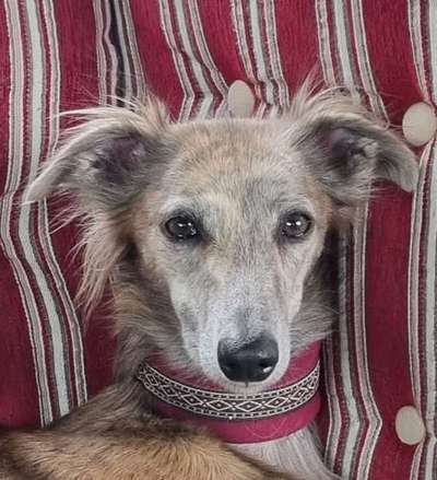 Zeigt eure Portraits-Beitrag-Bild