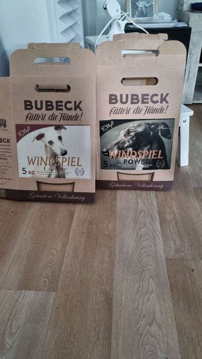 Windhunde - Treffen der besonderen Schönheiten
HERZLICH WILLKOMMEN-Beitrag-Bild