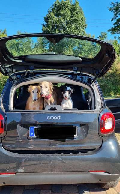 117. Fotochallenge-Beitrag-Bild