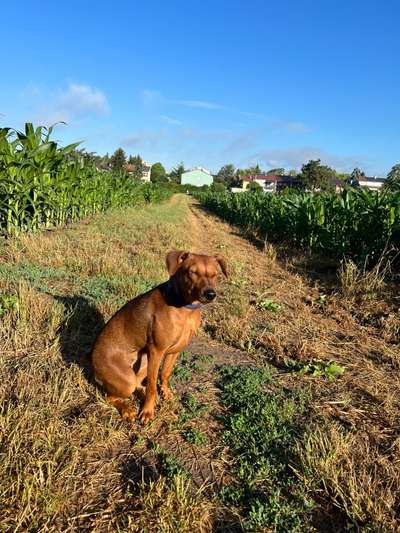 Fotowettbewerb Natur-Beitrag-Bild