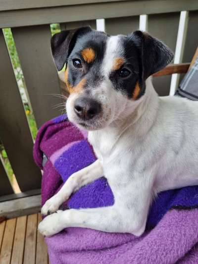 Fotochallange Nr. 57     PORTRÄT.   Beendet!!!!!!!!-Beitrag-Bild