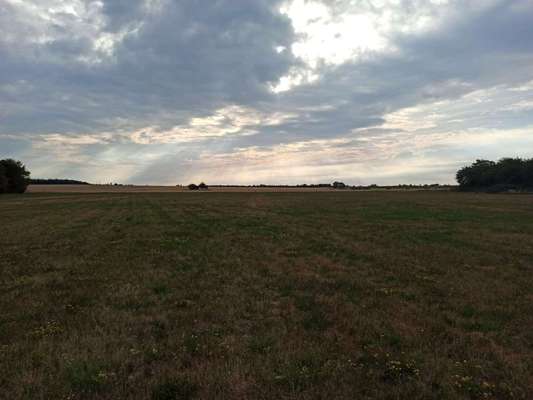 Hundeauslaufgebiet-Eine schöne Runde für den alltäglichen Spaziergang-Bild