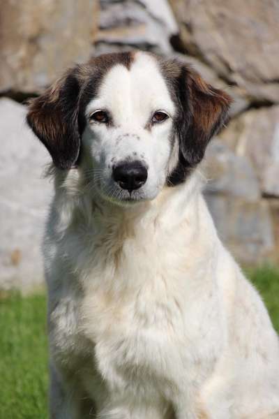 Fotochallange Nr. 57     PORTRÄT.   Beendet!!!!!!!!-Beitrag-Bild