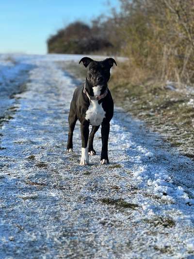 Schnee Foto-Beitrag-Bild