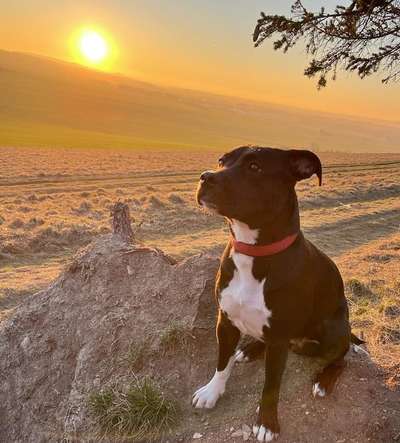 Sonnenaufgänge oder - untergänge-Beitrag-Bild