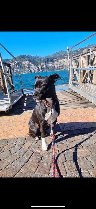 Dogorama Foto Challenge - Wanderziel-Beitrag-Bild