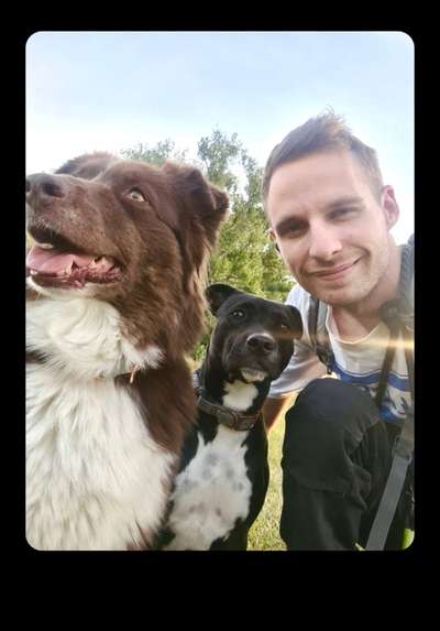 Handyfoto challenge Nr.7-Beitrag-Bild