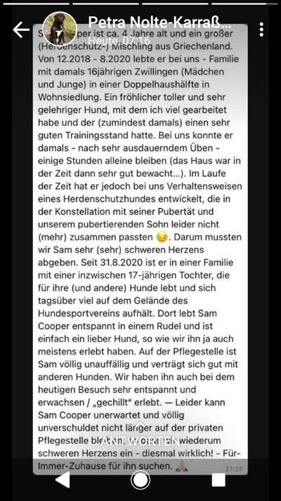 Hunde aus Griechenland-Beitrag-Bild