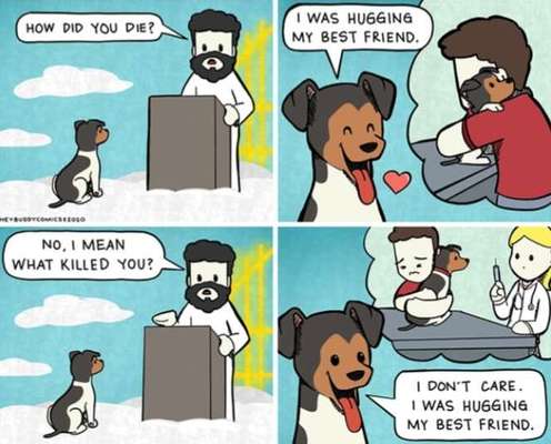 Berührende Hunde Bilder/Videos-Beitrag-Bild