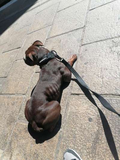 Conti Besitzer? :-)-Beitrag-Bild