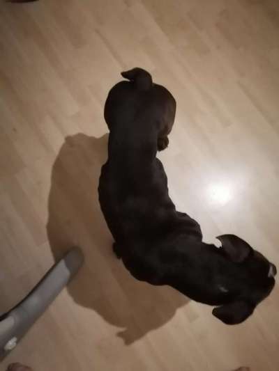 Conti Besitzer? :-)-Beitrag-Bild