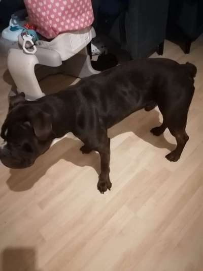 Conti Besitzer? :-)-Beitrag-Bild