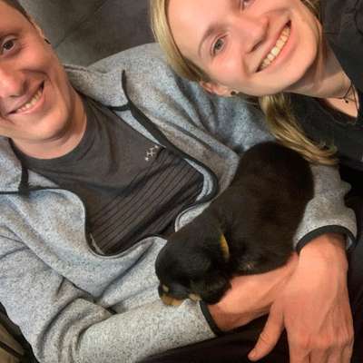 Hundetreffen-Hundebegegnungen üben