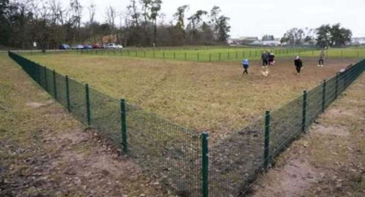 Hundeauslaufgebiet-Lorsch-Bild