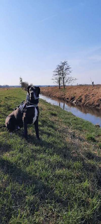 Fotowettbewerb Natur-Beitrag-Bild