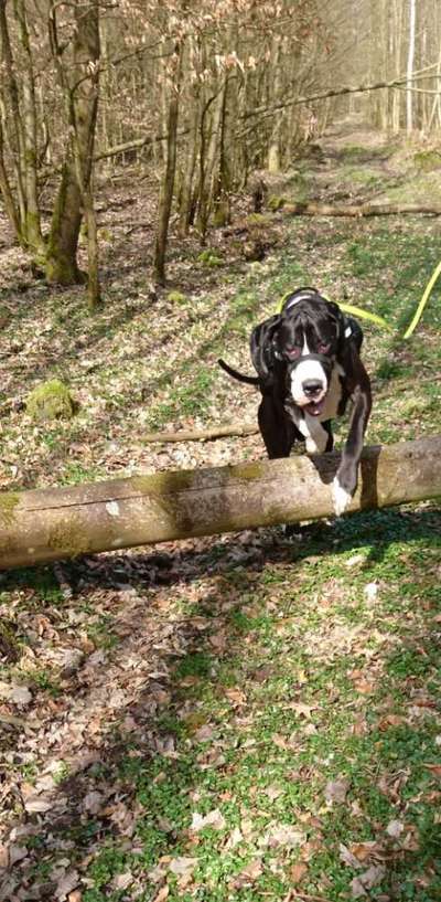 Foto Challenge Nr. 79-Beitrag-Bild