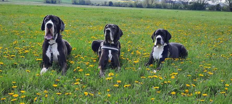 Fotowettbewerb Natur-Beitrag-Bild