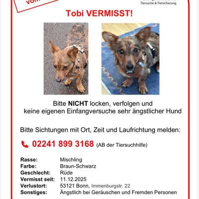 Suchmeldung-Tobi-Bild