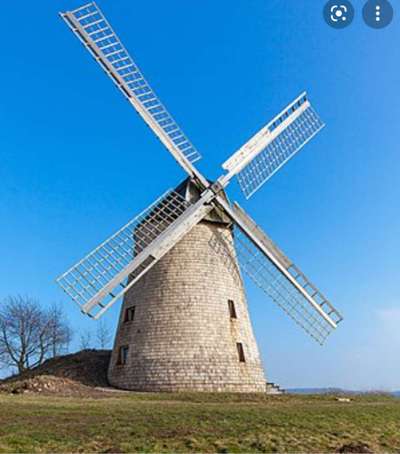 Hundetreffen-Wandern zur Bavenhauser Windmühle-Bild