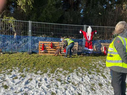 Hundetreffen-Biete Hundewiese zum toben, trainieren, spielen usw.

Die Wiese befindet sich in Oy-Mittelberg-Bild