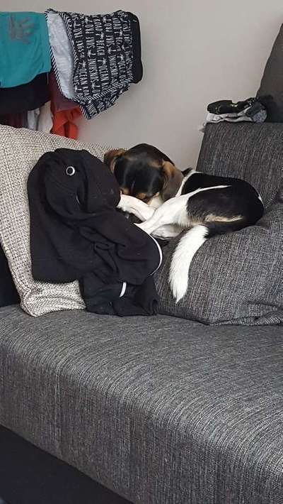 Die unbequemsten und lustigsten Schlafpositionen-Beitrag-Bild