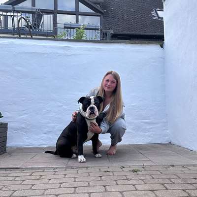 Olde English Bulldogge-Beitrag-Bild