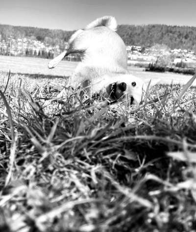 Foto-Challenge 76: Foto in Schwarz-Weiss-Beitrag-Bild