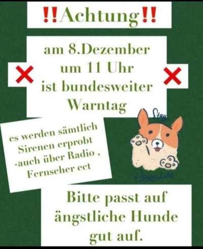 TierschutzhundeStammtisch🐕-Beitrag-Bild