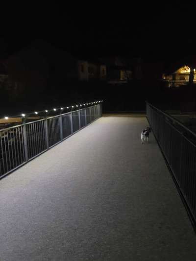 Dogorama Photo Challenge - Winterstimmung-Beitrag-Bild