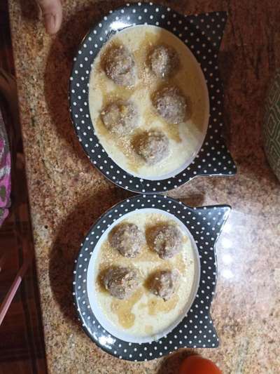 Zeigt her Eure Futternäpfe-Beitrag-Bild