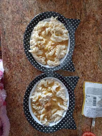 Zeigt her Eure Futternäpfe-Beitrag-Bild