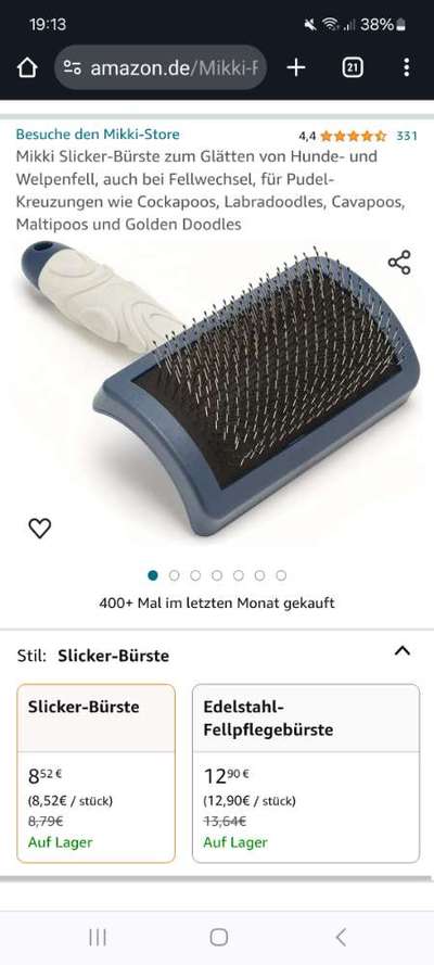 Lagotto Romagnolo Besitzer-Beitrag-Bild