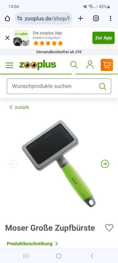 Lagotto Romagnolo Besitzer-Beitrag-Bild