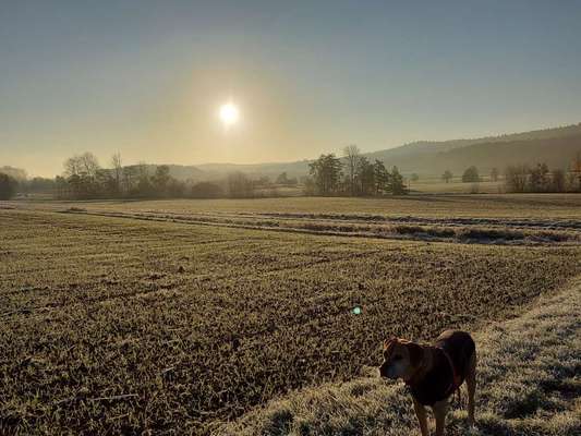 Postet eure schönsten Bilder von Spaziergängen in 2020!-Beitrag-Bild