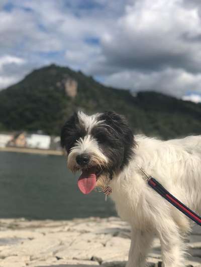 Lieblingsbild-Beitrag-Bild