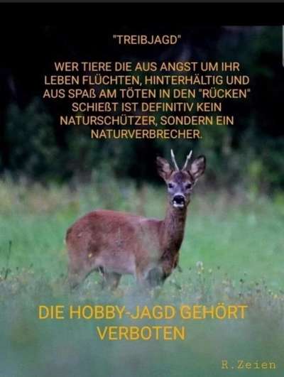 Ist Treibjagd noch zeitgemäß und mit "Hundeliebe" vereinbar?-Beitrag-Bild