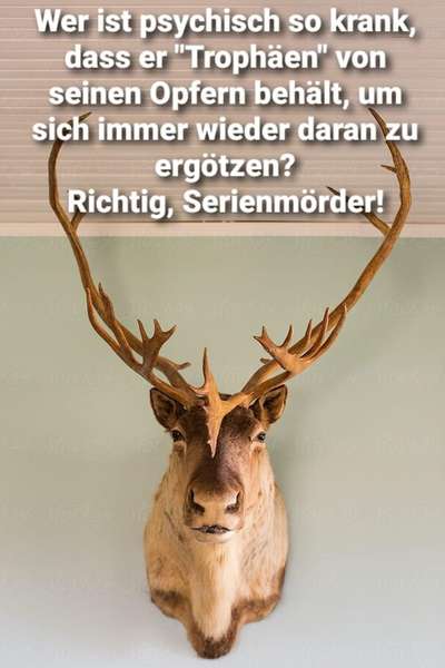 Ist Treibjagd noch zeitgemäß und mit "Hundeliebe" vereinbar?-Beitrag-Bild