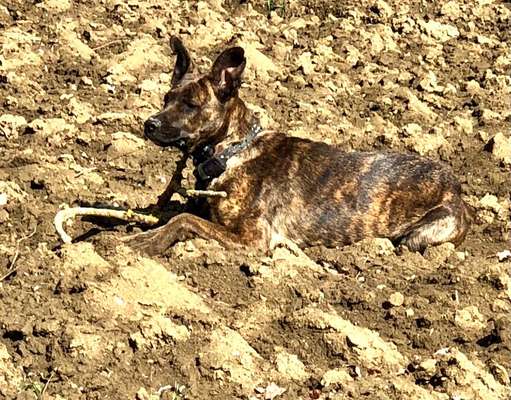 Farben Fotochallenge Thema ,,Grün"-Beitrag-Bild