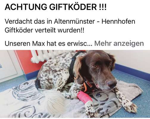 Giftköder-Giftköder-Bild