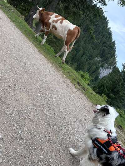 21. Farben / Foto Challenge - Neon / Leuchtfarben-Beitrag-Bild