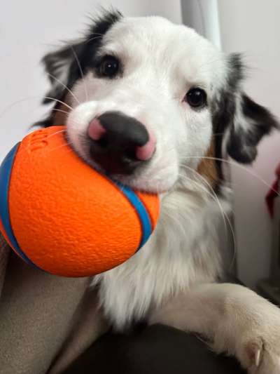 147. Foto Challenge: Bettelblick-Beitrag-Bild