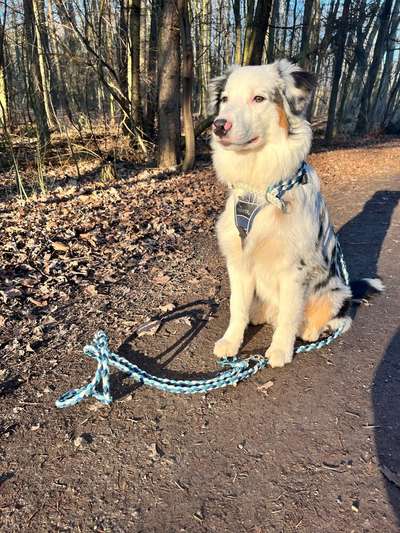 Außergewöhnliche Merkmale-Beitrag-Bild