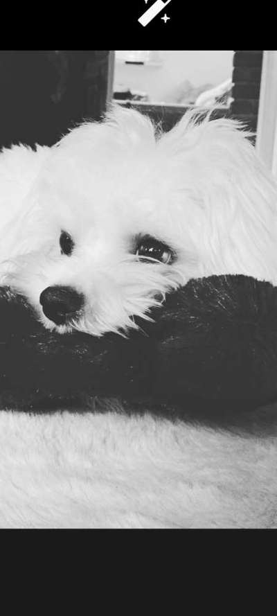 Foto-Challenge 76: Foto in Schwarz-Weiss-Beitrag-Bild